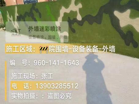 衡水 迷彩漆喷涂价格（按平方米计费）